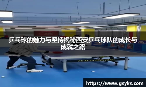 NG28南宫